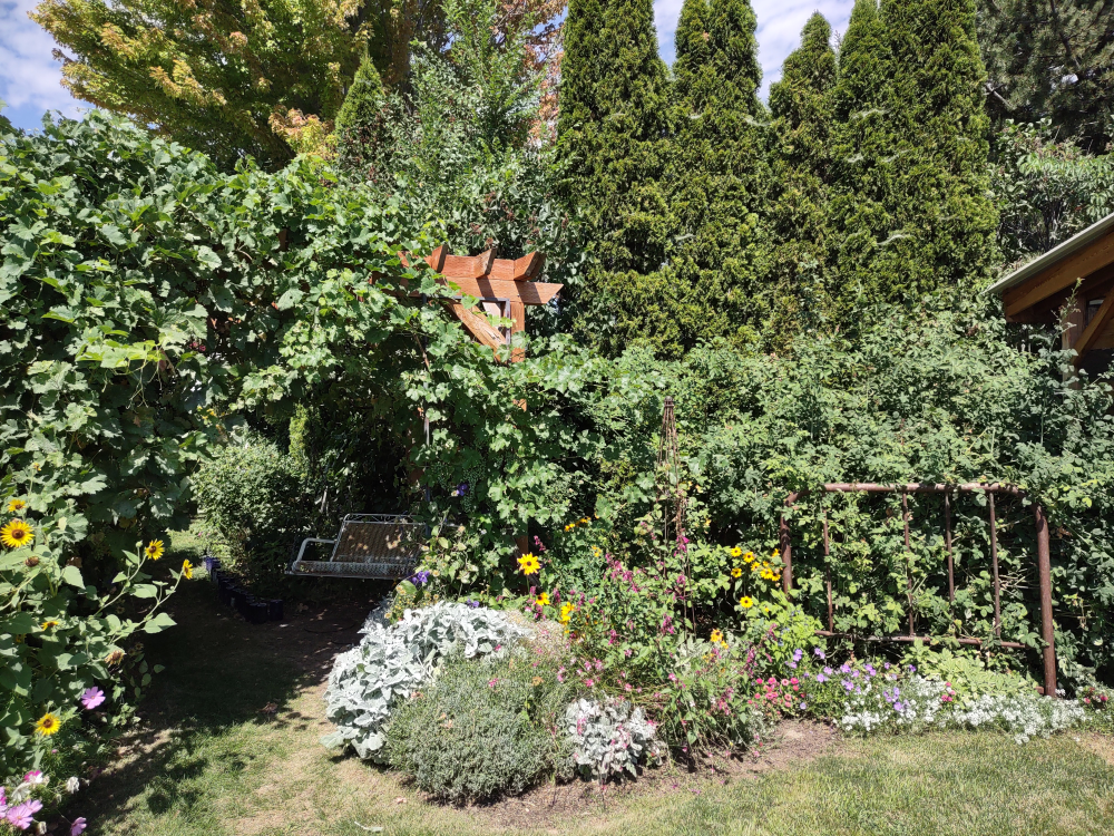 Garden path back to the gift shop