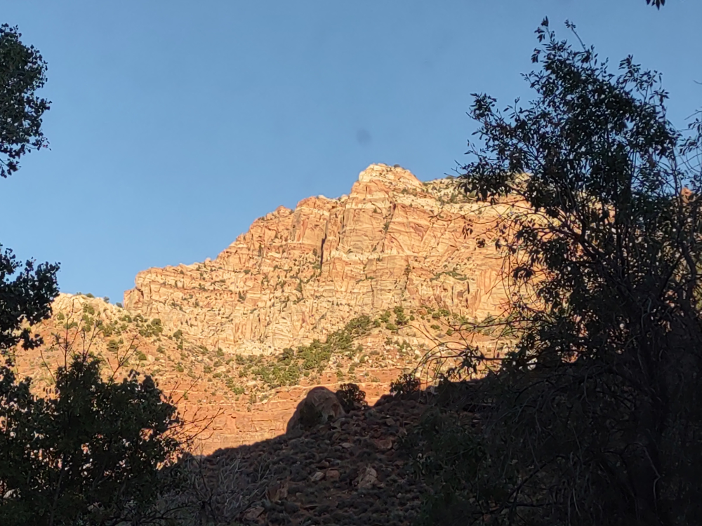 View of Watchman from our campsite.
