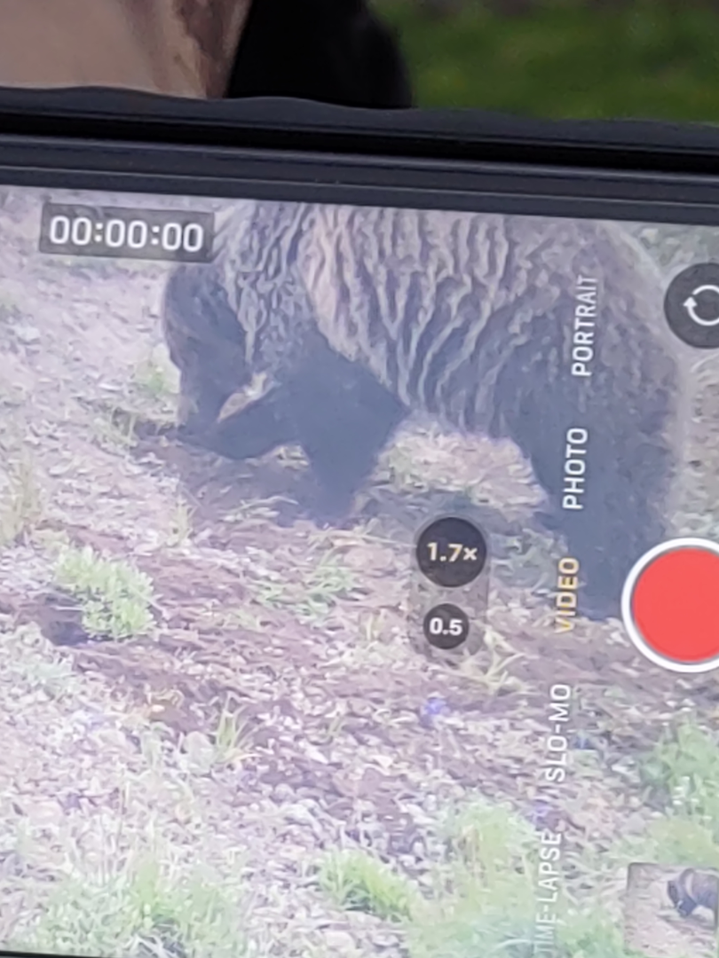 Looking through Spotting Scope.